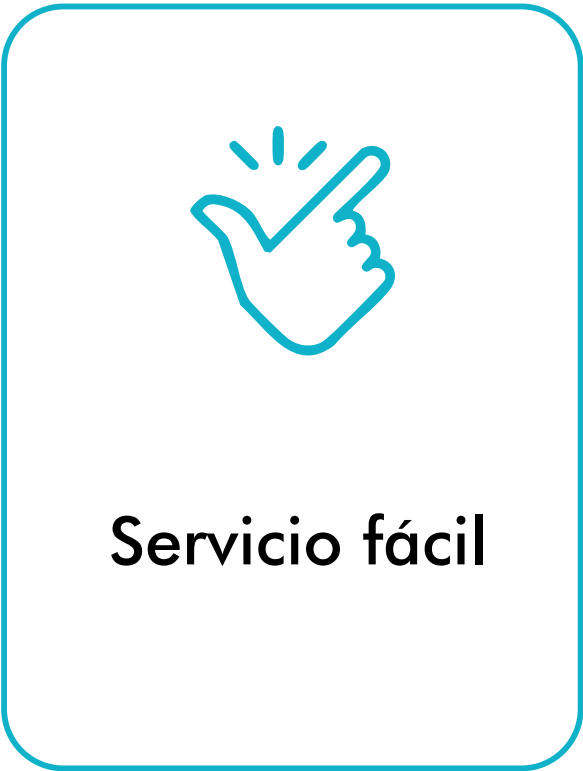 servicio-facil